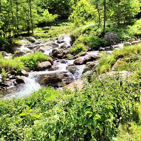 Grazioso In Montagna *