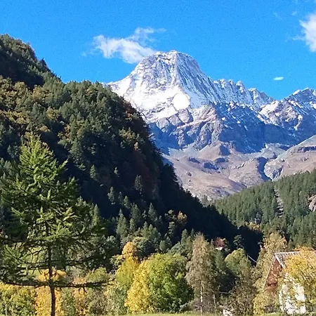 Grazioso In Montagna