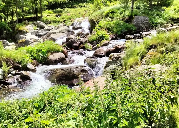 Grazioso In Montagna *